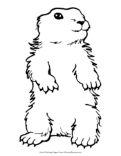 Civil war coloring page students of all ages can use the coloring pages to illustrate a notebook or lap book depicting facts they've learned about the civil war. Groundhog Day Coloring Pages Free Printable Pdf From Primarygames