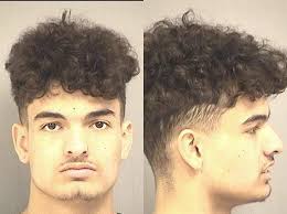 Lenawee County Police Reporter