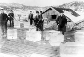 Ice trade comes to Sydney - Australian ...