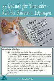 35 grunde fur unsauberkeit bei katzen und losungen haustiger katzen katzen korpersprache katzen verhalten