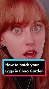 How to Hatch A Choa in Sonic Adventures 2