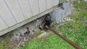 Fixing a sinkhole entails pumping grout into the hole to raise the driveway. How To Fill In A Sinkhole Youtube