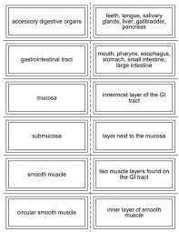 Digestive System Flash Cards Free Free Teacher Resources School Nurse Jobs Online Nursing Schools Top Nursing Schools