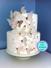 Pin On Ann S Butterfly Wedding