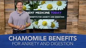 Oftentimes herb tea, or the plain term tea is used, albeit slightly incorrectly, as a reference to all sorts of herbal teas. Chamomile Health Benefits Uses And Side Effects Dr Axe