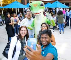 Geico Turns 83 Nasdaq