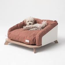 W E E L Y W A L L Y En Instagram Meet Odense He Deserves His Own Couch Odense Ile Tanisin O Da Kendi In 2020 Pet Friendly Furniture Pet Furniture Dog Furniture