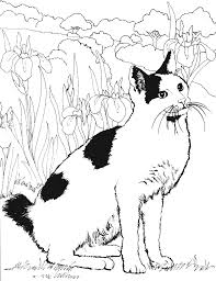 99 dessins de coloriage fourmi maternelle imprimer. Https Www Google Com Au Blank Html Cat Coloring Page Mermaid Coloring Pages Cat Coloring Book