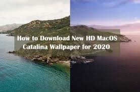 How To Download New Hd Macos Catalina Wallpaper For 2020 Catalina Hd Wallpapers For Mac Wallpaper
