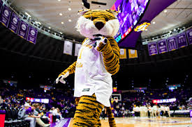 Gallery: Men's Basketball vs South Carolina