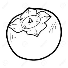 View larger image image credit: Coloring Book For Children Fruits And Vegetables Persimmon Royalty Free Cliparts Vectors And Stock Illustration Image 41938610