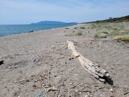 Wikiloc | Percorso Torre di Buranaccio dalla Spiaggia di Macchiatonda