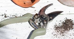 A garden shovel is a tool used for digging, lifting, and moving garden soil. Must Have Gadget For Sharpening Garden Tools Anderson Grant