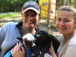 In addition to independent petting zoos, many general zoos contain a petting zoo. Archives Winterpast Farm