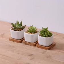 Sealed for indoor use just means that there are no drainage holes. Cheap Bulk Wholesale Small Square White Glazed Ceramic Indoor Succulent Planter Pots With Wood Tray Buy Small Square White Succulents Pots Ceramic Succulent Planter Succulent Planter Pots Product On Alibaba Com