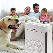 10 Best Air Purifiers For Pets Cat Dander Dog Hair Cat Dander Dog Allergies Cat Allergies