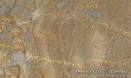 Granite Night Lizard - Xantusia henshawi - California Herps