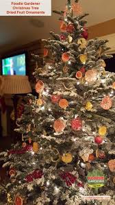 Antique or vintage christmas ornaments are popular holiday decorations even today. Flocked Noble Fir Christmas Tree With Dried Fruit Ornaments Pomelo Citrus Orange Limes Grapefruit Tomatoes Apples Shirley Bovshow Edible Garden Designer Foodie Gardener The Foodie Gardener