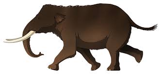 Elephant is an unincorporated community in bedminster township, bucks county, pennsylvania, united states, on the se side of lake nockamixon. Elephantidae Nix Illustration