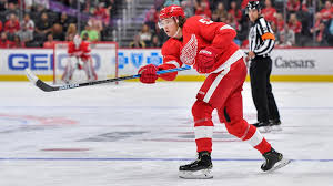 Griffin grew up in a mixed family. Moritz Seider Adjusting To Life In The Swedish Hockey League