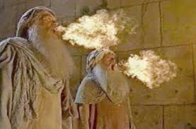 Two Bear Witness | If I Walked With Jesus