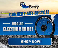 This front wheel electric bike kit from grm is ideal for a mountain bike. Top 10 Best Electric Bike Conversion Kit 2021 Best Ebike Conversion Kit Best E Bike Conversion Kit Electric Bike Conversion Kit With Battery Electricvehicless