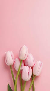 Try it out with peel and stick wallpaper. 50 Beautiful Flower Wallpapers For Iphone Free Download
