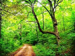 Lost Valley Back Road Sedalia Walk In The Woods