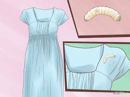 How To Get Rid Of Moth Worms Getting Rid Of Moths Moth Worms Clothes Moth Larvae
