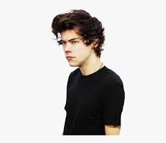 У гарри есть старшая сестра джемма. Harry Styles Png Harry Styles 2013 Dark Transparent Png Kindpng