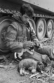 Find Great Deals For Vietnam War Photo Member Of A Troop 1st Cav 23rd Infantry Whit Dogs 537 Shop With Confidence On Eb Vietnam War Photos Vietnam War Vietnam