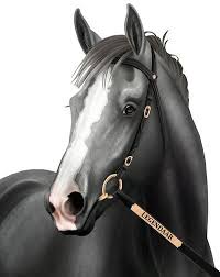 Legendaar By Jullelin On Deviantart Horse Drawings Horse Artwork Horse Animation