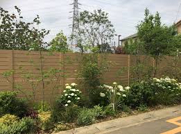 We did not find results for: Bunga Krisan Manfaat Cara Menanam Dan Perawatannya Homify