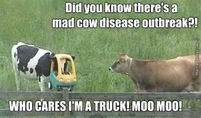 Mad Cow Disease Memes