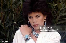 3 228 Dani Chanteuse Stock Photos, High-Res Pictures, and Images