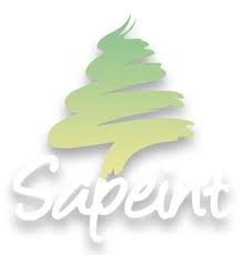 Offre D Emploi Entreprise Du Batiment Lille Rennes Agen Chambery Vendee Sapeint
