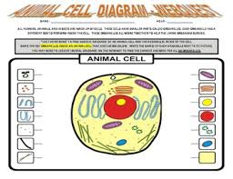 Maybe you would like to learn more about one of these? Animal Cell Diagram Webquest Organelle Definitions Biology With Key
