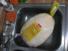 my first turkey adventure meagan makes