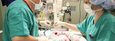 We did not find results for: Online Neonatal Nurse Practitioner Nnp Ms Dnp Uconn