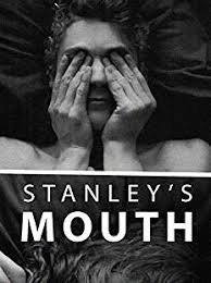 Reframing the Bildungsroman: Stanley's Mouth and Youth