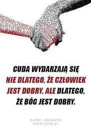 Pin By Kravka On Wiara Motivation Lizard Cuda