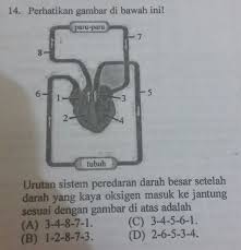 Plisss Bantuinn Ini Soal Try Out Di Les Ganesha Operation Kode Soalnya Aa0072 Set1 Kls 9 Brainly Co Id