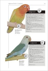 The Encyclopedia Of Agapornis Lovebirds Dr Alessandro D