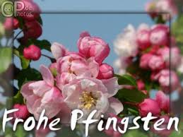 Pfingsten — pfingstfest * * * pfings|ten  pf̮ɪŋstn̩, das; Coolphotos De Grusskarten Feiertage Pfingsten