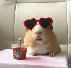 Sandra Granja (sandragranja37)