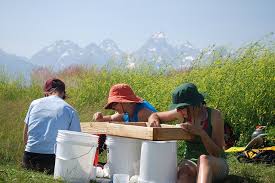 Importance And Components Of Environmental Science And Top 5 Environmental Science Careers Conserve Energy Future