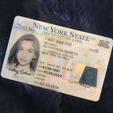 My name is tamarah fitzgerald and first off, what do you think of my new. 18 Pretty License Pics Ideas Passport Pictures Id Photo Mug Shots