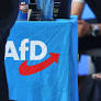 Survey Reveals Deep Skepticism Towards Democracy Among AfD Supporters in Germany