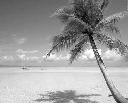 Black And White Beach Beach Wallpaper Beach
