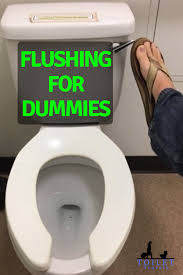Flushing For Dummies Toilet Problems Flush Toilet Toilet Handle Toilet